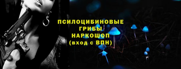 ГАЛЛЮЦИНОГЕННЫЕ ГРИБЫ Алексин