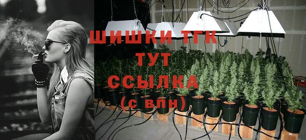 ГАЛЛЮЦИНОГЕННЫЕ ГРИБЫ Алексин