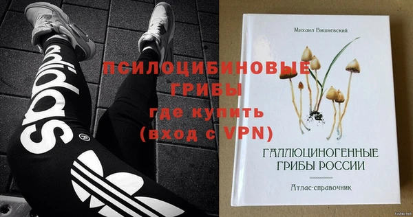 ПСИЛОЦИБИНОВЫЕ ГРИБЫ Алексеевка