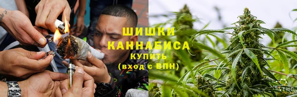 ГАЛЛЮЦИНОГЕННЫЕ ГРИБЫ Алексин