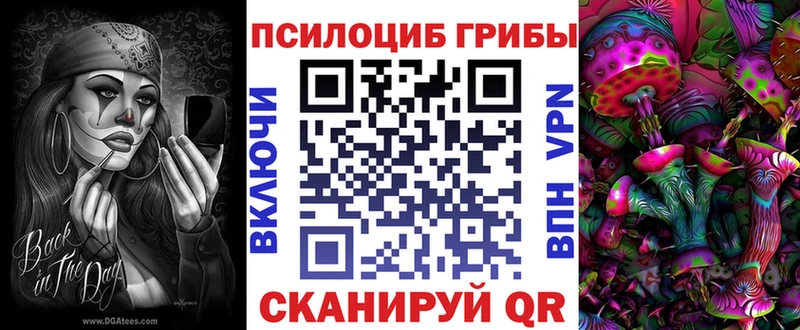 Псилоцибиновые грибы Psilocybine cubensis  KRAKEN tor  Вилючинск 